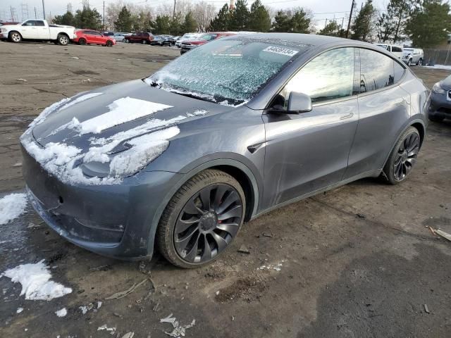 2023 Tesla Model Y