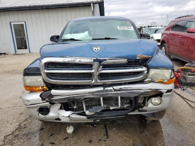 2004 Dodge Dakota SLT