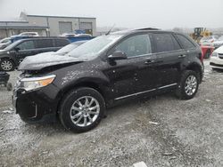 Vehiculos salvage en venta de Copart Earlington, KY: 2013 Ford Edge SEL