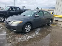 Salvage cars for sale at New Orleans, LA auction: 2007 Toyota Camry CE