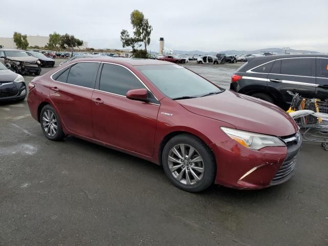 2015 Toyota Camry Hybrid