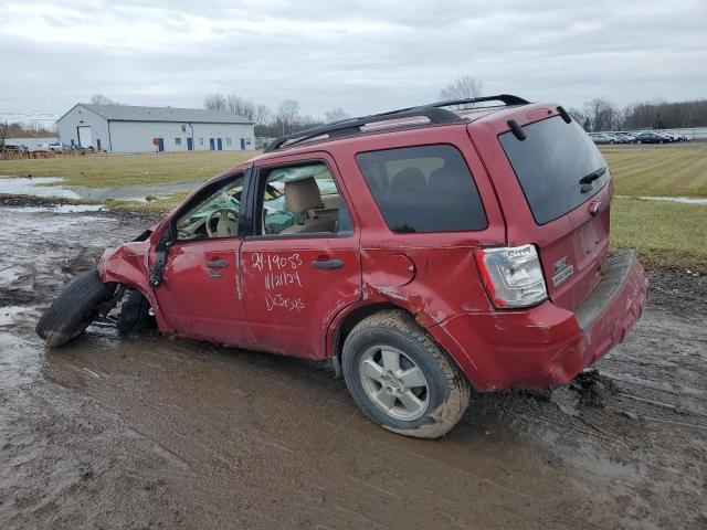 2011 Ford Escape XLT