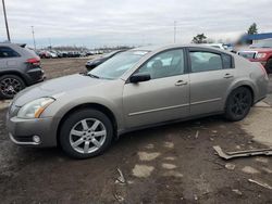 Nissan salvage cars for sale: 2004 Nissan Maxima SE