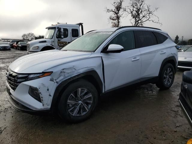 2024 Hyundai Tucson Blue